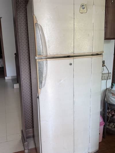 Pel fridge for sale