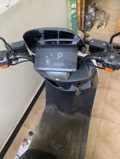 Top scotty fresh import 2000watt motor