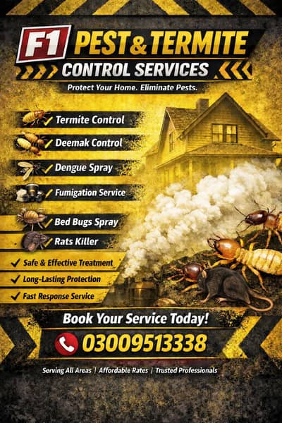 Termite control/Deemak control | Dengue Spray/Fumgation Service