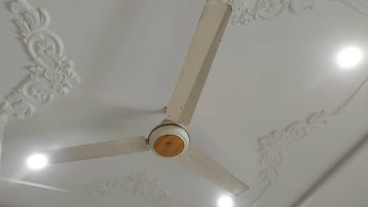 Ceiling Fan for sale
