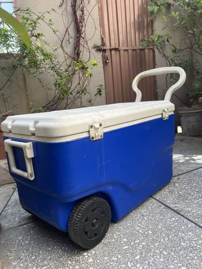 Coleman box with wheels 03335952079 whatapp