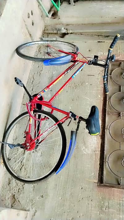 Racing cycle red color