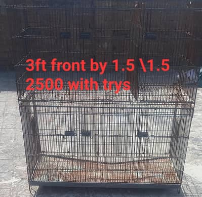 Birds Cages heavyweight