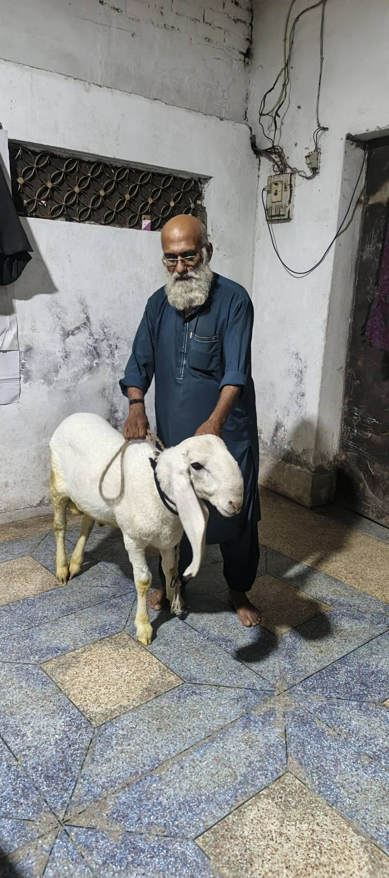 FOR 2026 bakra eid 0