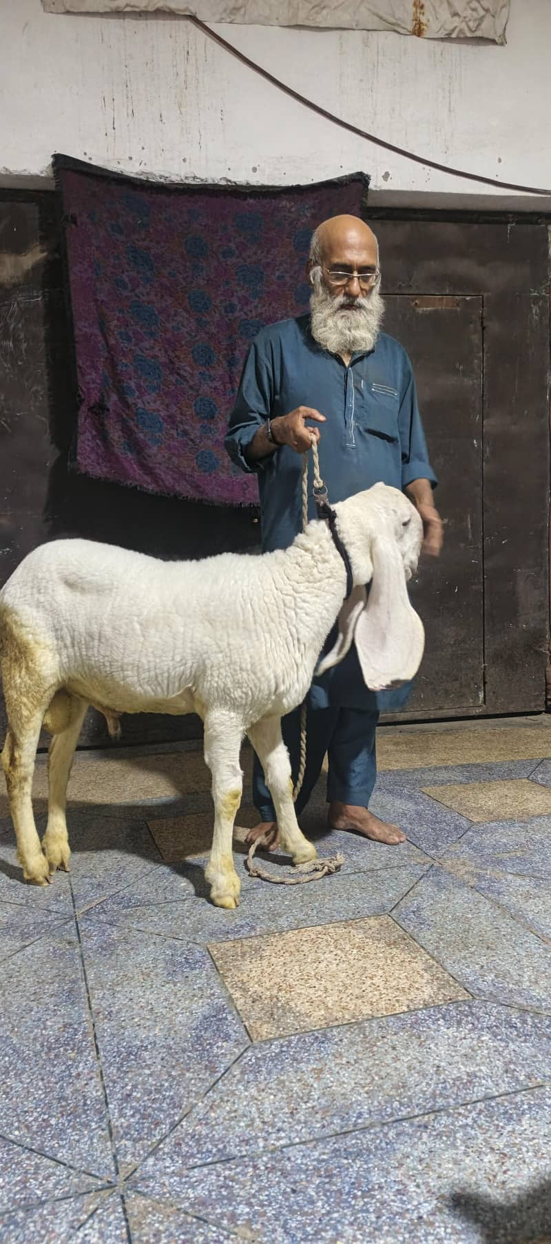 FOR 2026 bakra eid 1