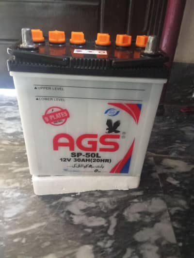 AGS 12 Volt 30 Ampere  9 Plates
