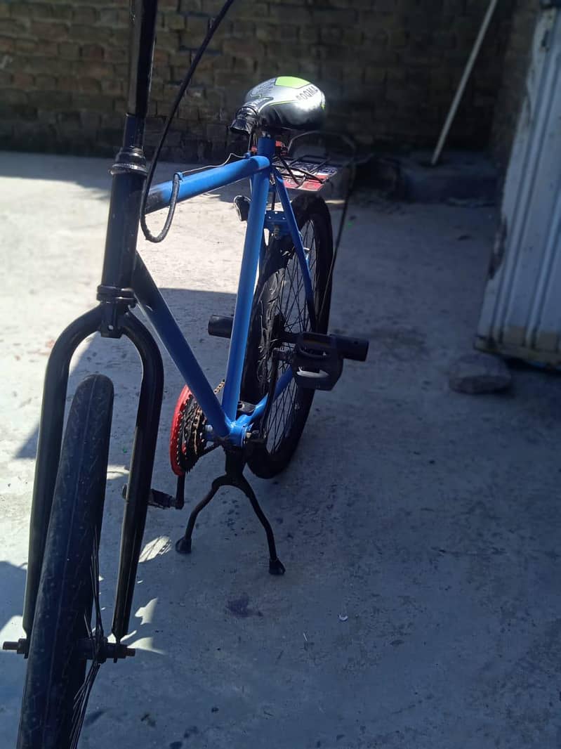 phonix cycle 1