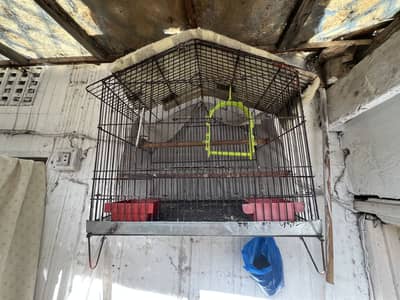 Perrot cage