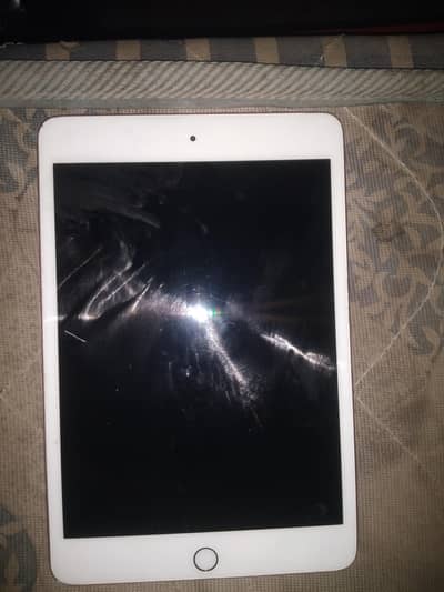 iPad mini 5