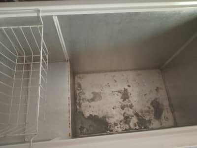 freezer Brand is national
