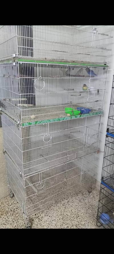 master cage folding
