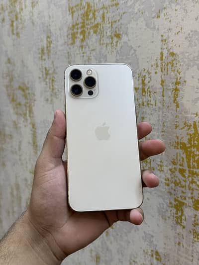i phone 12 pro max PTA approved