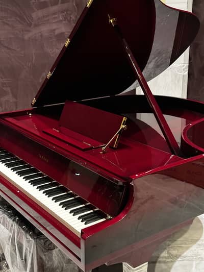 Bassclef Grand Piano/Grand Piano/Billiards/pool table/keyboards/piano