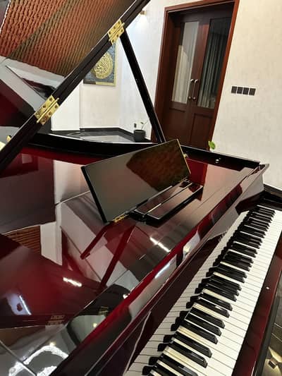 Bassclef Grand Piano/Grand piano/piano/keyboards/drums/pool table