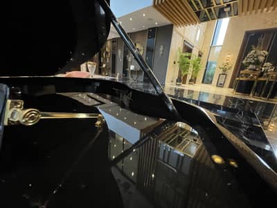 Bassclef grand piano/grand piano/piano/keyboards/sofa/rugs/pool table