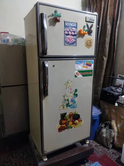 Fridge Japanese General