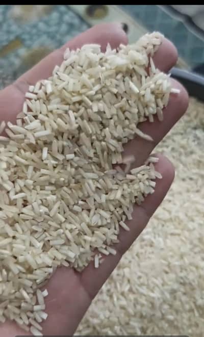 steam shartgreen 1121  millky cokiur standard qulity mall