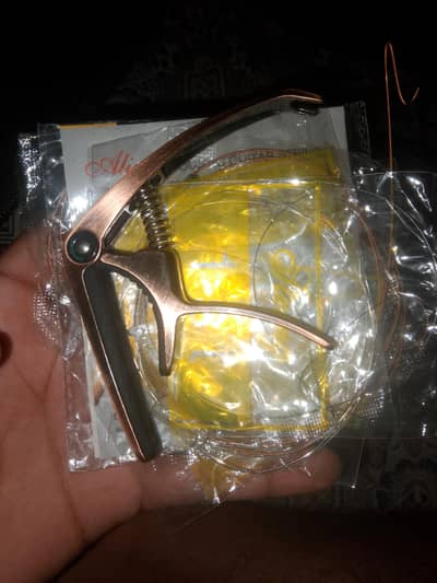 Classic+ acoustic guitar