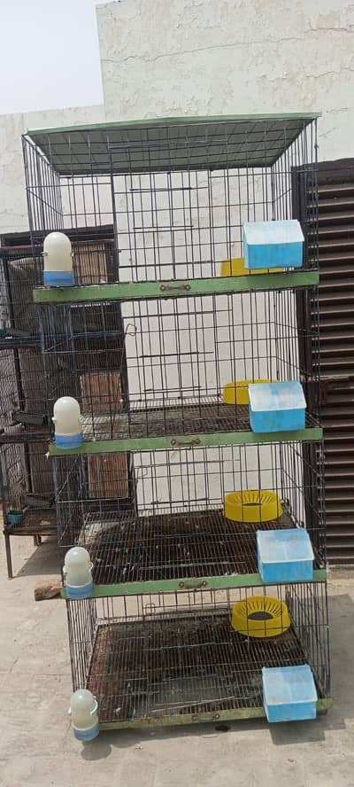 Fancy Pigeons Cages