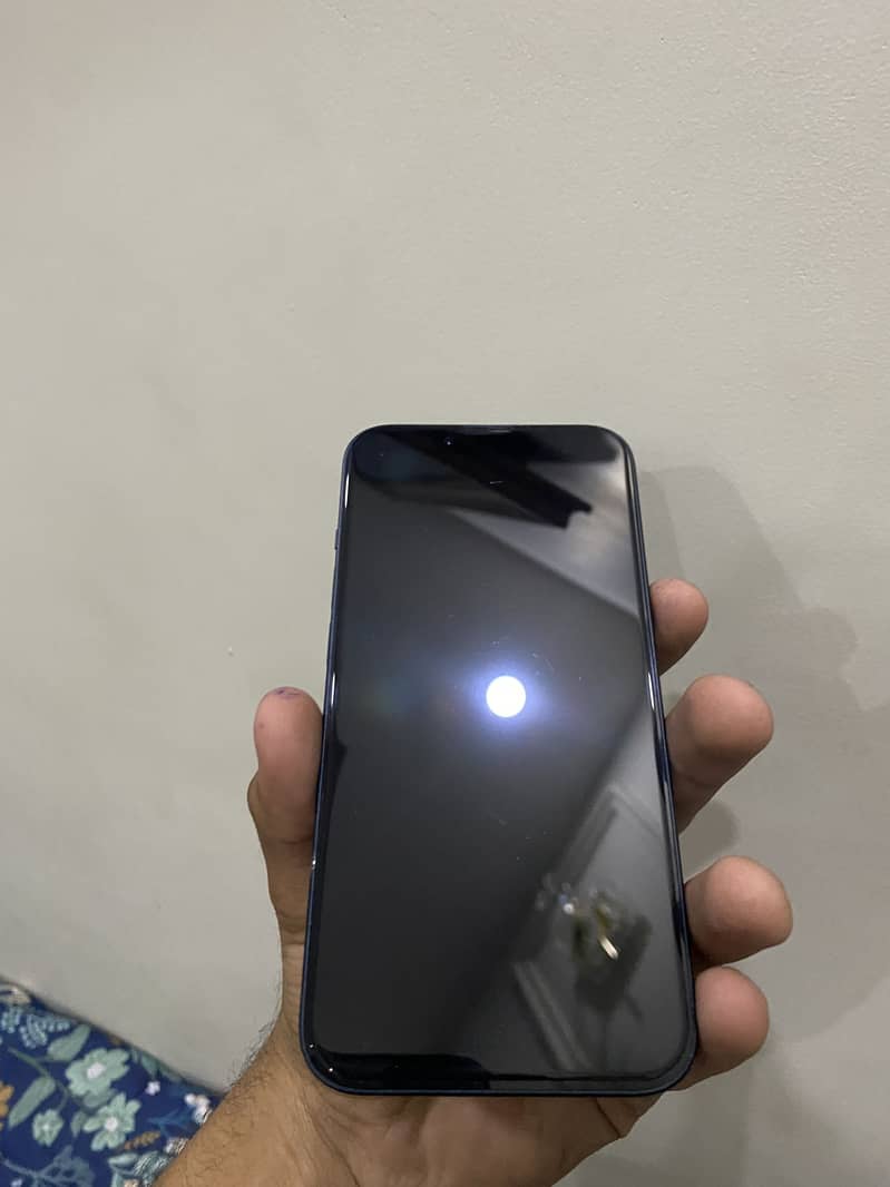 iPhone 13 1