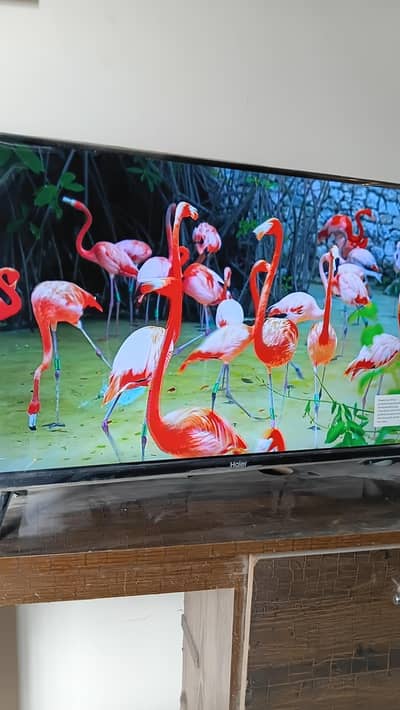 Hair android 32 inch just like new original box and remote