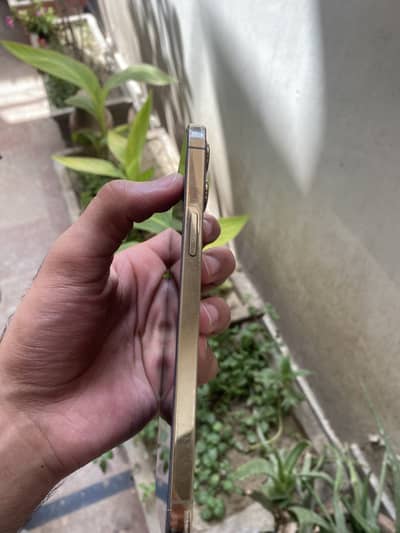 Apple iPhone 12 Pro Max