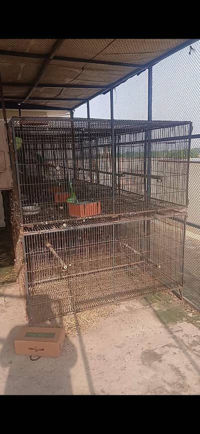 parrot cage