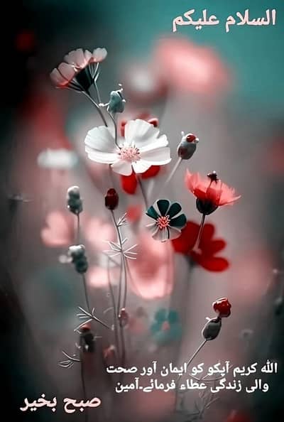 khansama 0300 9372372