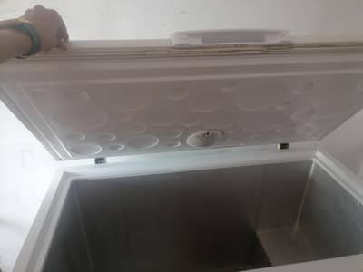 haier one door freezer