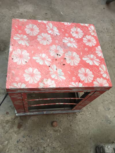 All ok ha Koi be masks nhi ha