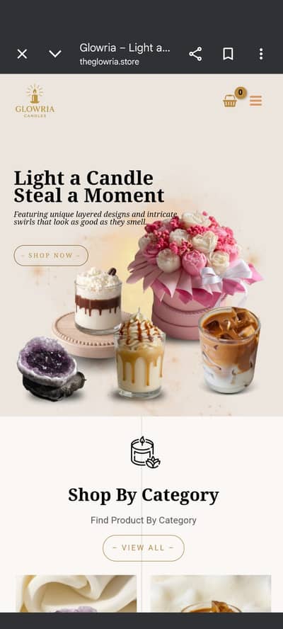 Website Development Services | Shopify, WordPress, E-commerce Store