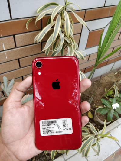 IPHONE XR