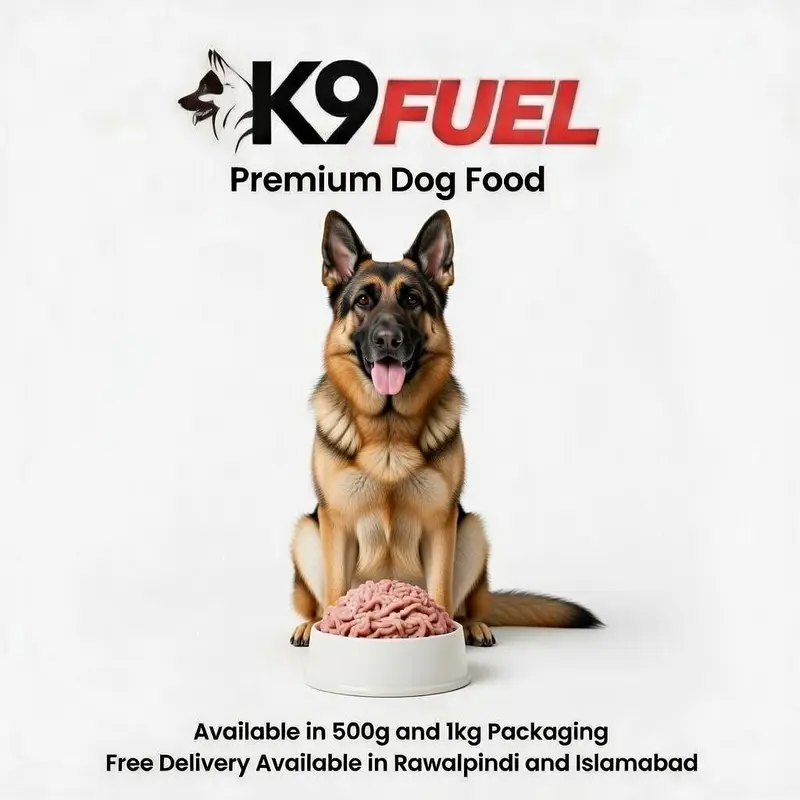 Dog Food (Frozen Chicken Mince)