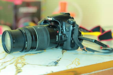Canon 60d camera 75/300 lens