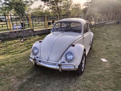 Volkswagen Beetle 1966 / Foxy