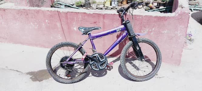 Phoenix Bicycle Gear System