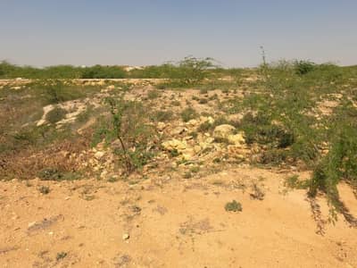 IDEAL PLOT FOR INVESTMENT & CONSTRUCTION