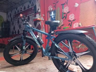 Big Tire Mountain Bike | Front & Rear Disc Brakes | Double Gear System