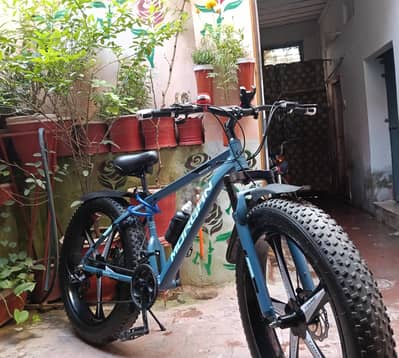 Big Tire Mountain Bike | Front & Rear Disc Brakes | Double Gear System