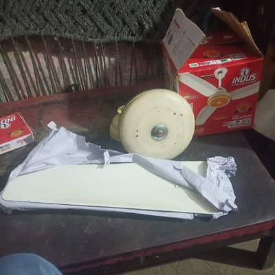 Indus fans used
