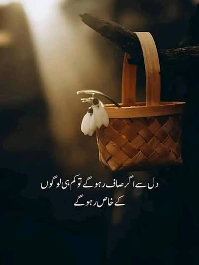 Female Recieptionest Required for Clinic