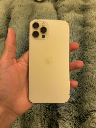 iPhone 12 pro     mint condition