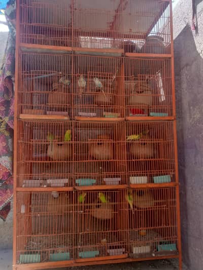 12 khane ka jall he 8 pair set he totally home brid he