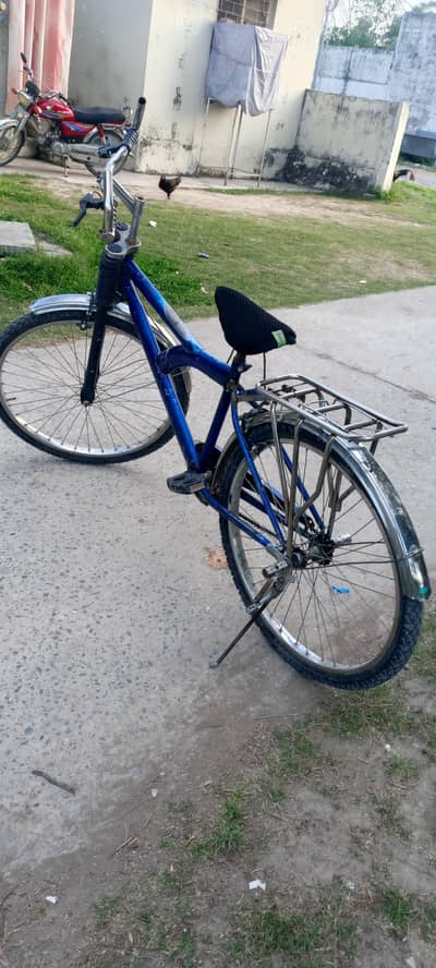 cycle both new (tyres and tubes)