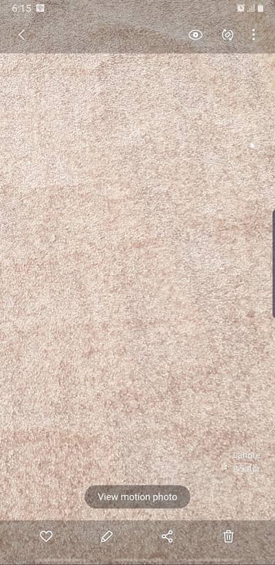 big size carpet for sale