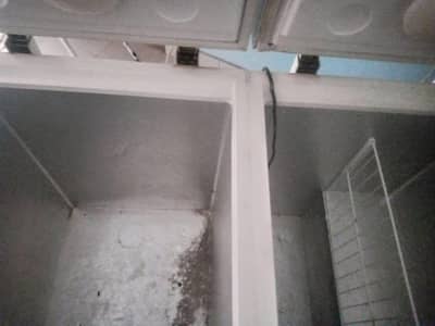Haier full size double door deep freezer for sell
