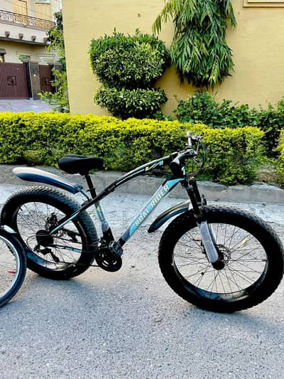 Mountain bicycle Roal Rider special edition