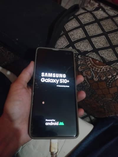 s10 plus dual sim official pta