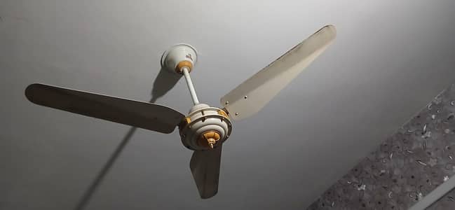 Indus Fancy Look Fan