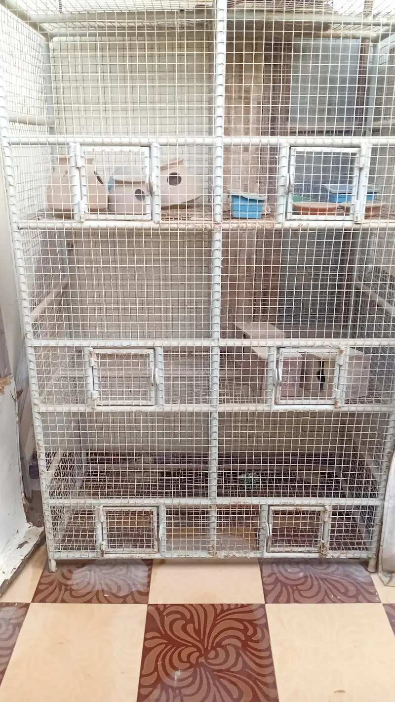 6 in 1 — photo 2